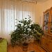 Targu Jiu Apartament 3 camere - 65 mp- Aleea Plopilor,